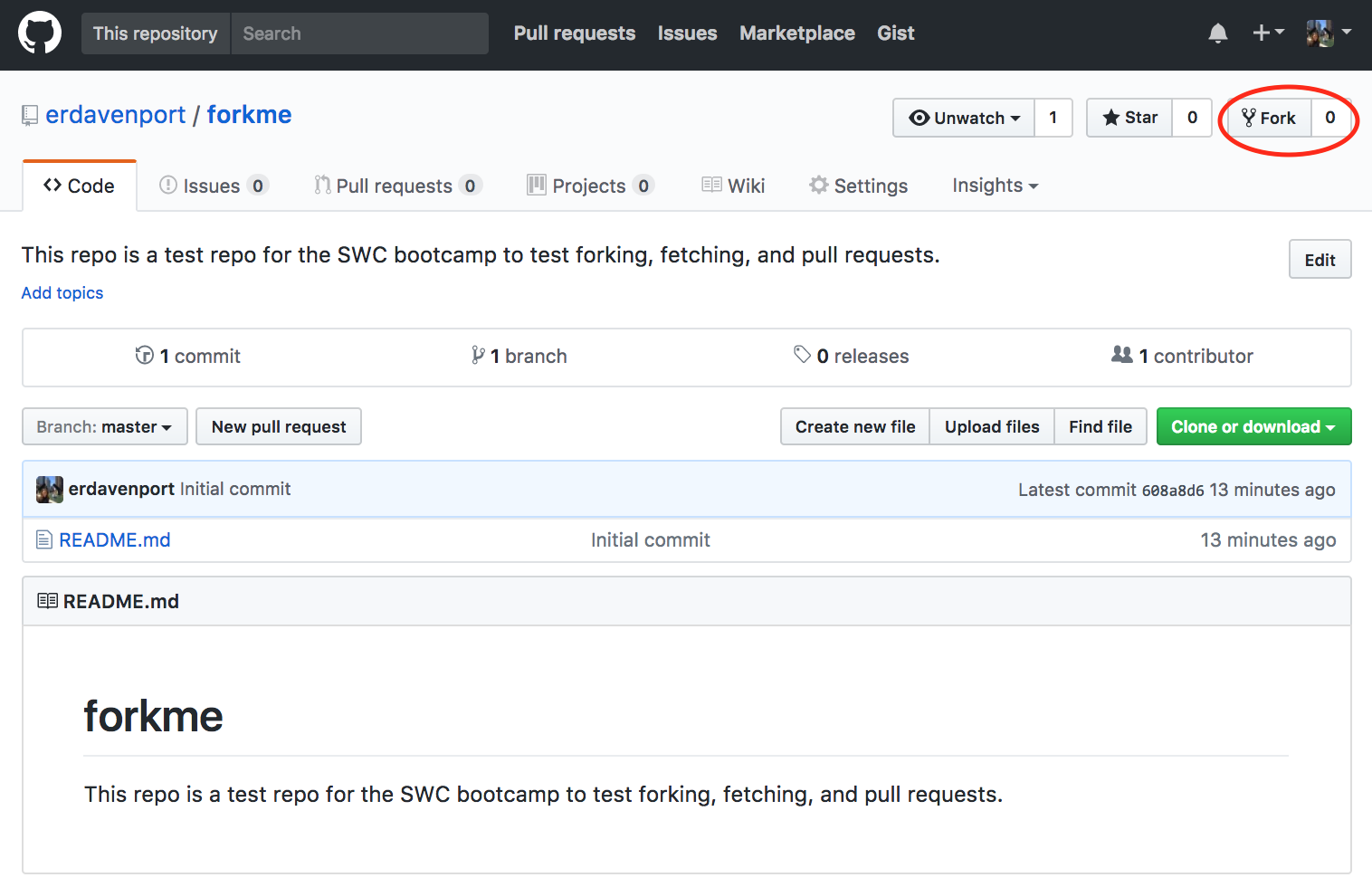 Forking Repo on GitHub